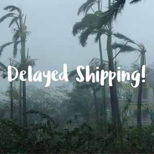 Shipping is delayed until further notice!
